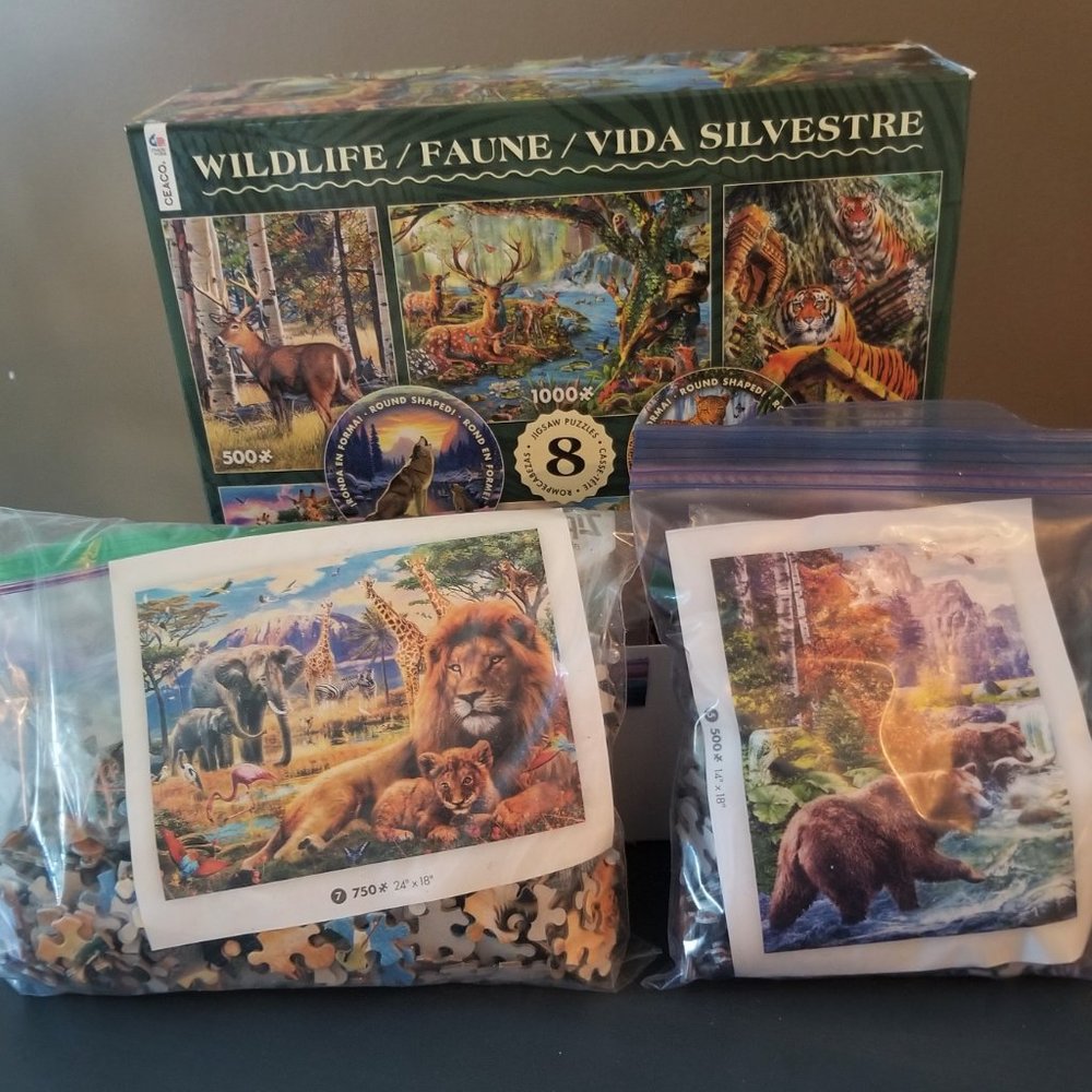 Puzzle Set - Picture 2 of 3